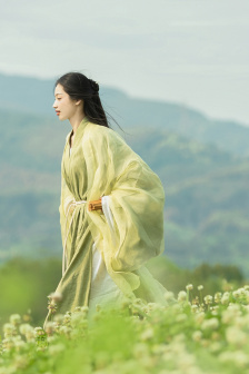 花心梦里人